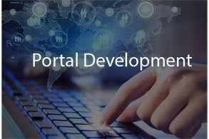 portal software company pakistan