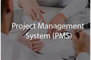 management software development company pakistan